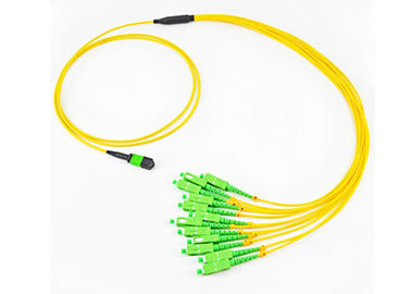 SM Breakout MPO lif Optik Yama Kablosu APC Arabirimi Özelleştirilmiş Uzunluk